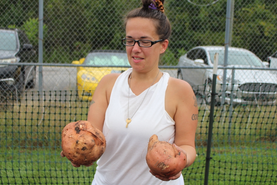 Tutwiler Garden Program