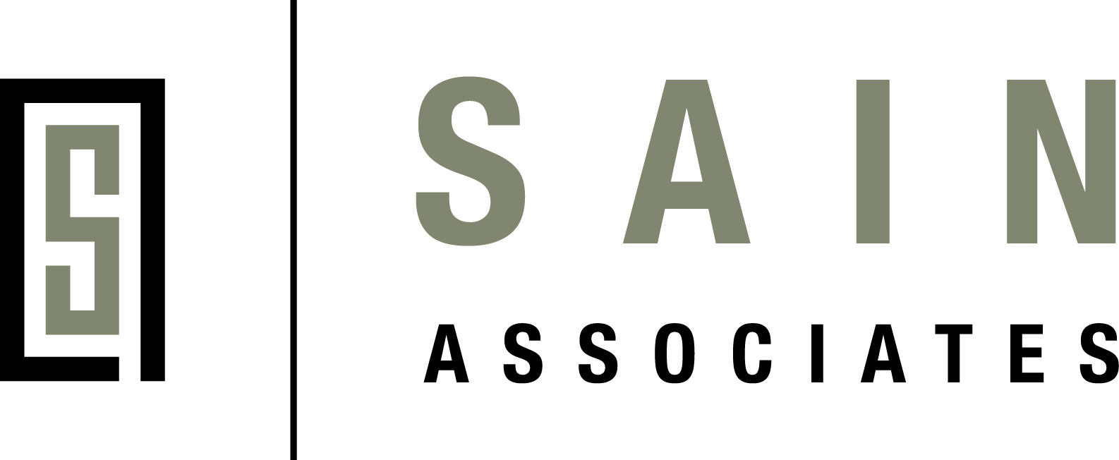 Sain logo