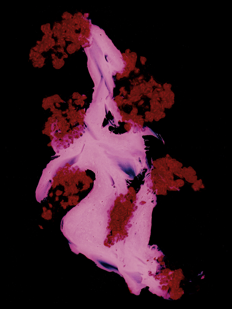 Picture of a dessert that is smeared onto a scanner that impersonates a more painterly style. The vibrant red tones draws the viewer in, and the realization that it is food allows the viewer to identify with the image. 