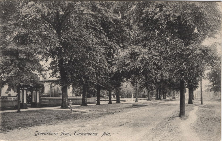 Black and white print of unpaved Greensboro Avenue in residential Tuscaloosa, Alabama. Postmarked July 17, 1907.