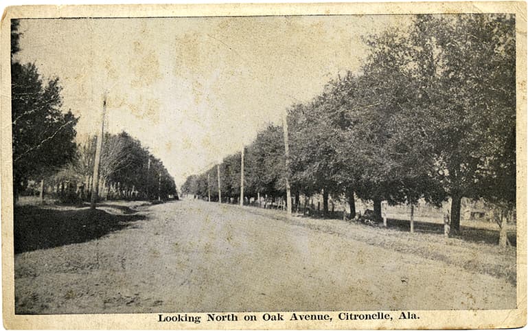 Black and white photograph of unpaved Oak Avenue in Citronelle, Alabama. Postmarked on February 27, 1922. 