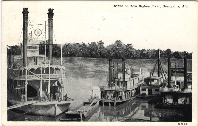 Black and white print of 5 boats docked on the Tombigbee River at Demopolis, Alabama. Postmarked on May 1, 1943.