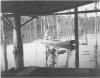 W. E. Pate, Jr., fishing in Bazemore Mill Pond, Houston Co., AL.
